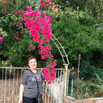 lianira, 81 (7 ����, 0 �����)