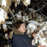 irin, 68